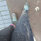 User avatar for Alison Woodrow