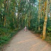 User avatar for Laurenleigh Taylor