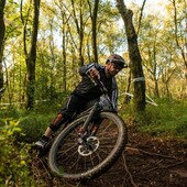 User avatar for Daniel Andres