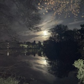 User avatar for Andy Brentnall