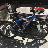 User avatar for Adam Pawson