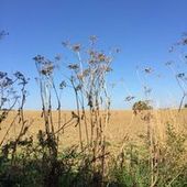 User avatar for Clint Lacey