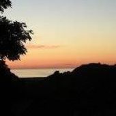 User avatar for Collette Mackey