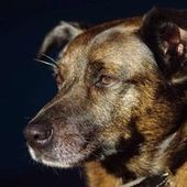 User avatar for Graham Hopper