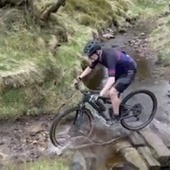 User avatar for David Gara