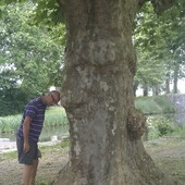 User avatar for Andrew Chapman