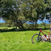 User avatar for Erik R