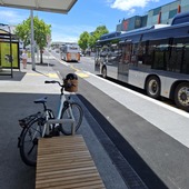 User avatar for Lynne Walker