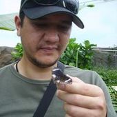 User avatar for Daniel Hayward