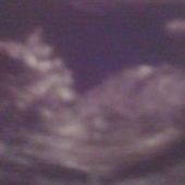 User avatar for Andrew Badger