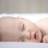 User avatar for Vernon Walmsley