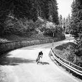 User avatar for Renzo S