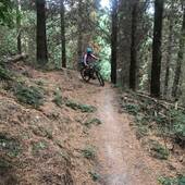 User avatar for Lucy Clark