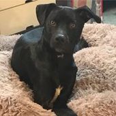 User avatar for Christina Tuapola