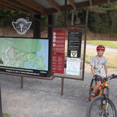 User avatar for David Staps