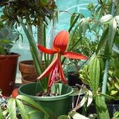 User avatar for Alister Fisher