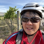 User avatar for C hongy