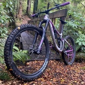 User avatar for Audrey Dench