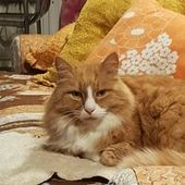 User avatar for Liz Odell