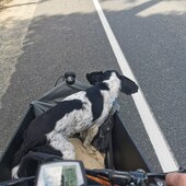 User avatar for Shawn Walsh