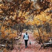 User avatar for Ash Campbell