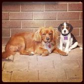 User avatar for Donna Brougham