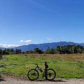 User avatar for Louis Graham