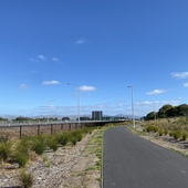 User avatar for Philly Melrose