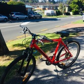 User avatar for Alice Kim