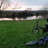 User avatar for Belinda Martin