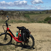 User avatar for Judy McIver