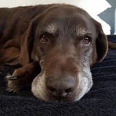 User avatar for Deborah Rogers