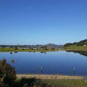 User avatar for Sandi O'Higgins