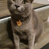 User avatar for Amy Bromley Smith