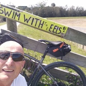 User avatar for martin gilkison