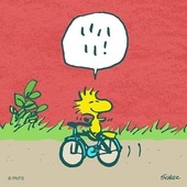 User avatar for Adam Malpas