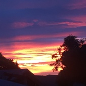 User avatar for Rebecca Cowie