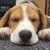 User avatar for Matt Claridge