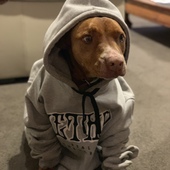 User avatar for Erika Eberhardt