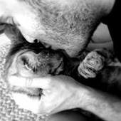 User avatar for Samuel Garreffa