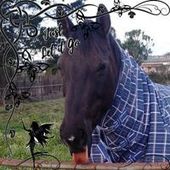 User avatar for Angela Peoples