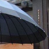 User avatar for Estevan Mac Donald