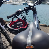 User avatar for Michelle Boynton