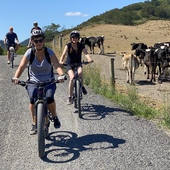 User avatar for Debbie Adding