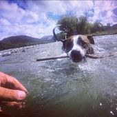 User avatar for Damian Newell