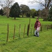 User avatar for Gunawan Ariyanto