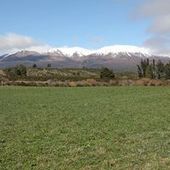 User avatar for Christopher Forbes