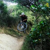 User avatar for Connor Hamill