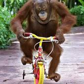 User avatar for Kathryn Clausen