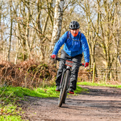 User avatar for Bruno Tramontano